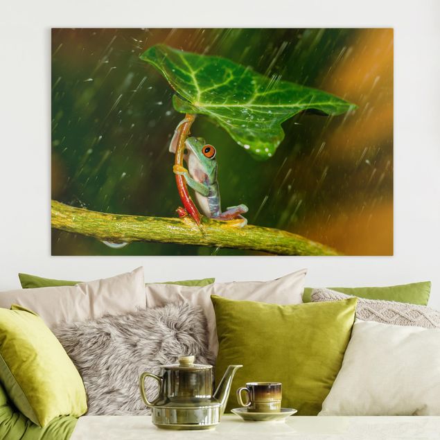 Blumenbilder auf Leinwand Ein Frosch im Regen