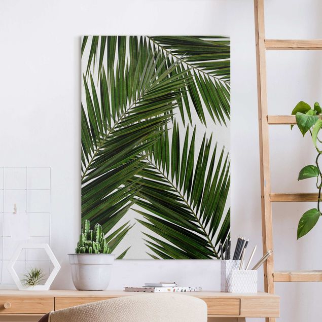 Leinwandbilder Naturmotive Blick durch grüne Palmenblätter
