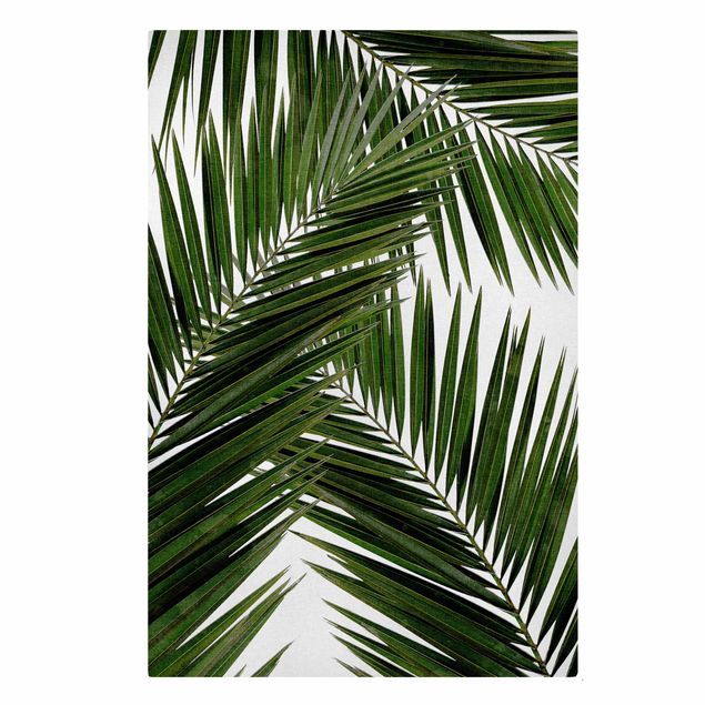 Leinwandbild - Blick durch grüne Palmenblätter - Hochformat 2:3
