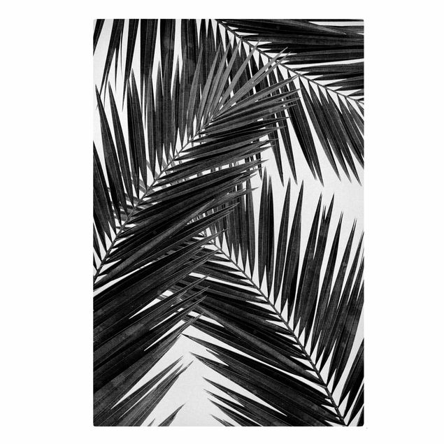 Leinwandbilder Blick durch Palmenblätter schwarz weiß