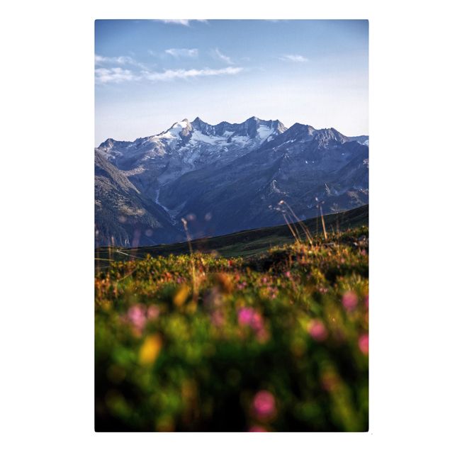 Leinwandbilder kaufen Blumenwiese in den Bergen
