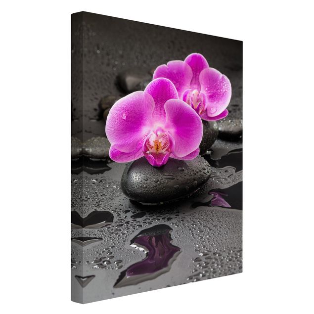 Leinwandbilder Pinke Orchideenblüten auf Steinen mit Tropfen