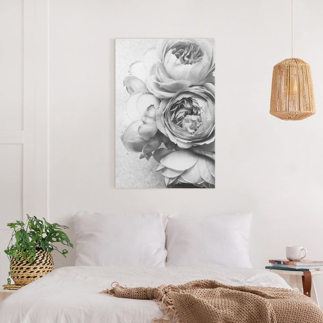 Blumenbilder auf Leinwand Pfingstrosenblüten Schwarz Weiß