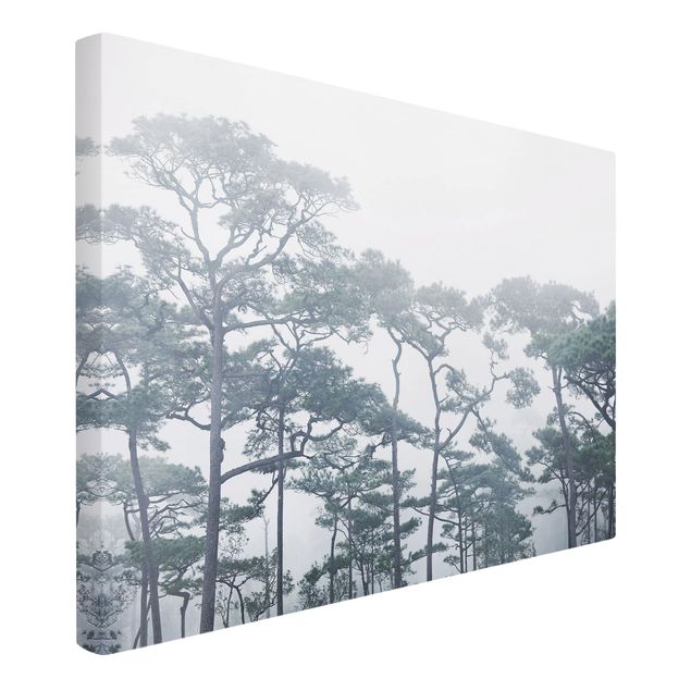 Leinwandbilder Baumkronen im Nebel