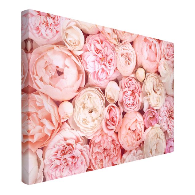 schöne Leinwandbilder Rosen Rosé Koralle Shabby
