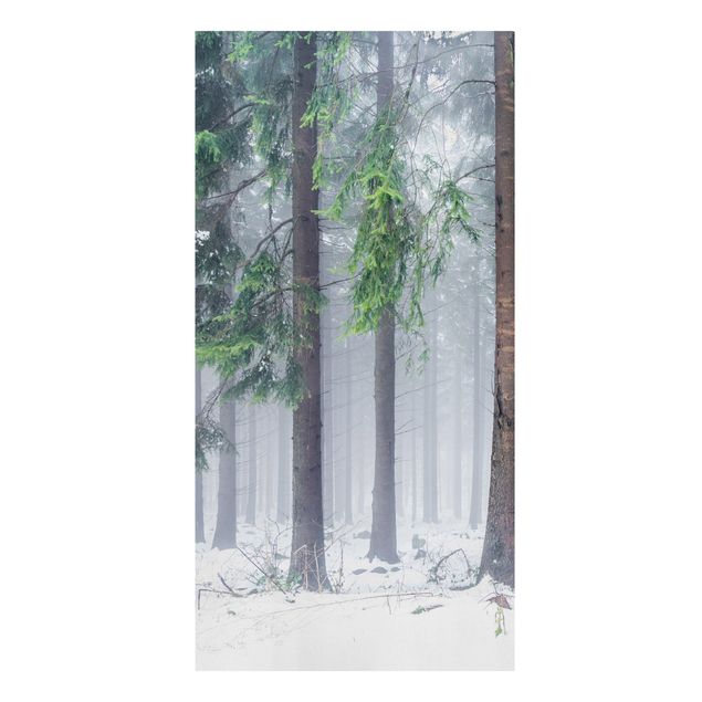 Leinwandbild - Nadelbäume im Winter - Hochformat 1:2