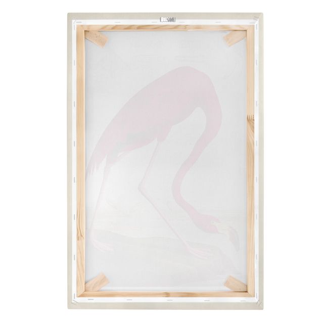 Leinwandbild - Vintage Lehrtafel Amerikanischer Flamingo - Hochformat 3:2