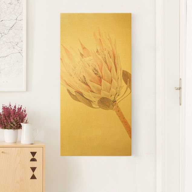 Leinwandbilder Gold Protea Königin der Blüten