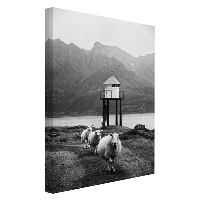 Leinwandbild - Drei Schafe auf den Lofoten - Hochformat 2:3