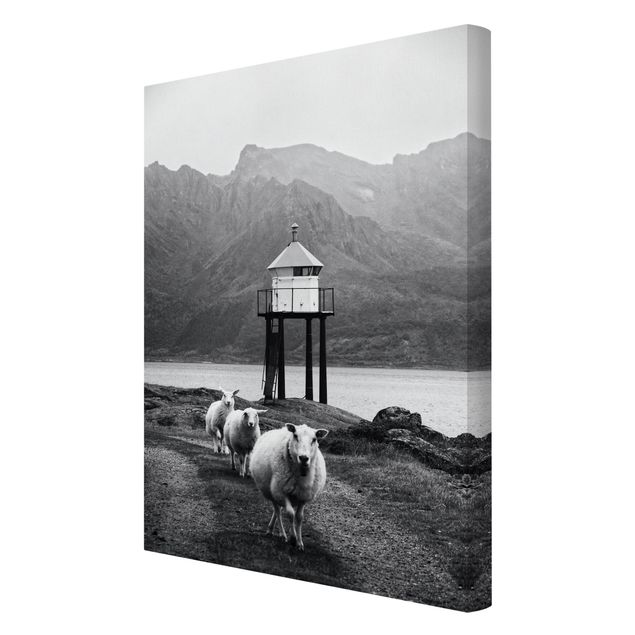 Leinwandbild - Drei Schafe auf den Lofoten - Hochformat 2:3