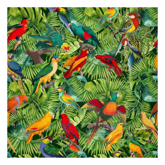 schöne Leinwandbilder Bunte Collage - Papageien im Dschungel