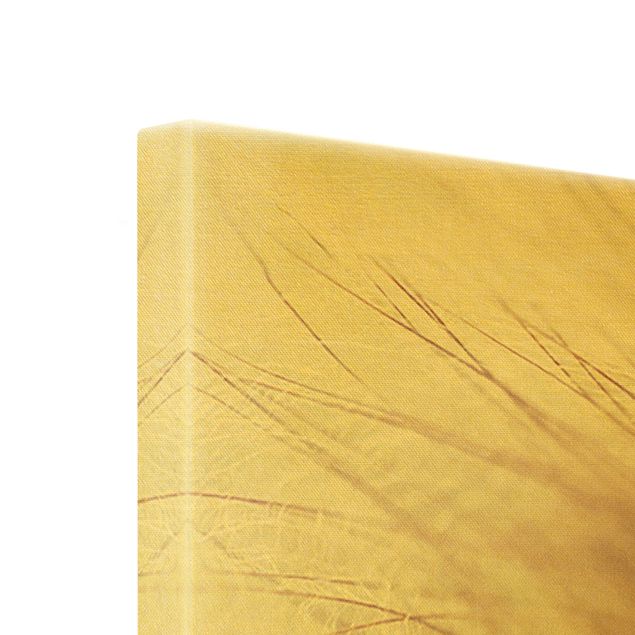 Leinwandbild Gold - Detailreiche Pusteblumen Makroaufnahme mit Vintage Blur Effekt - Querformat 1:2