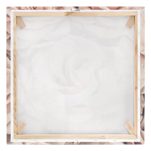 Leinwandbild - Rosen Sepia mit Wassertropfen - Quadrat 1:1