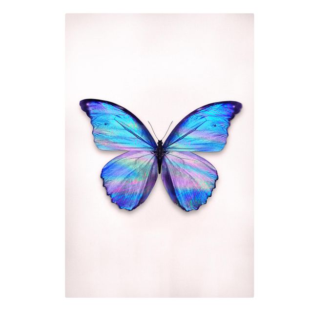 schöne Bilder Holografischer Schmetterling