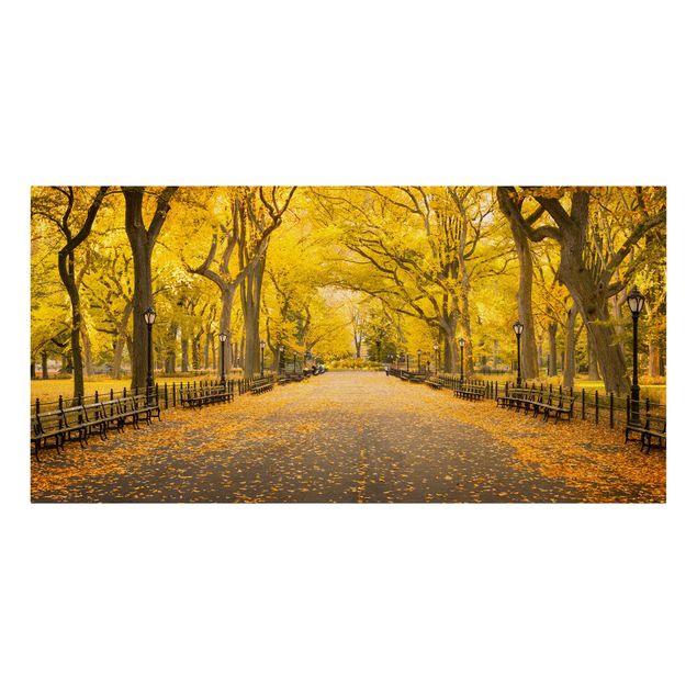 Leinwandbild - Herbst im Central Park - Querformat 2:1