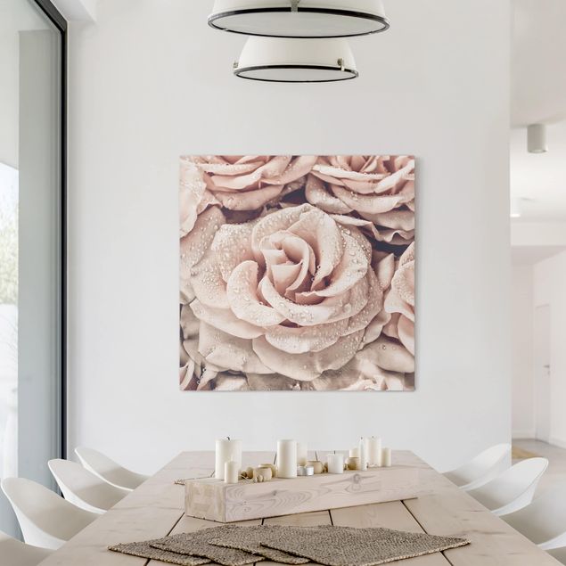 schöne Bilder Rosen Sepia mit Wassertropfen