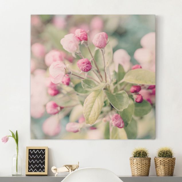 Leinwandbilder Blumen Apfelblüte Bokeh rosa