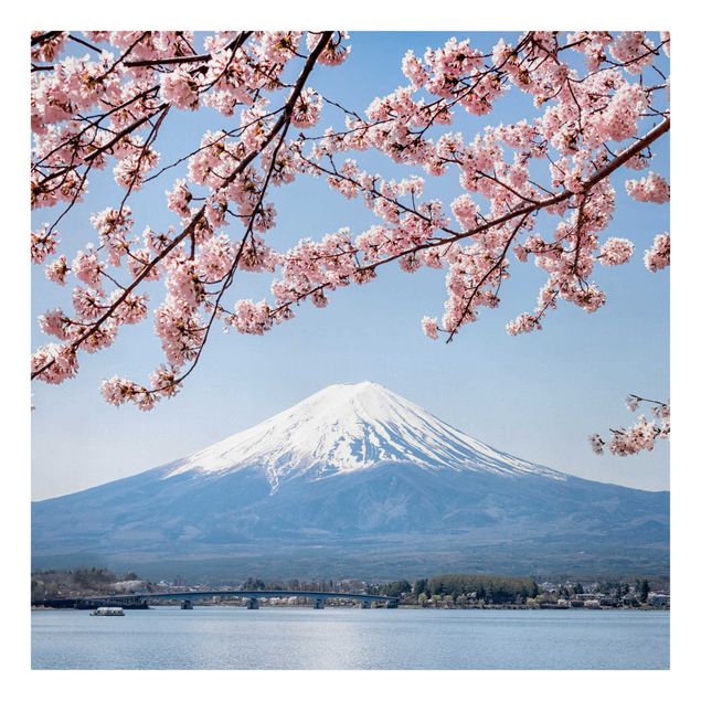 schöne Leinwandbilder Kirschblüten mit Berg Fuji