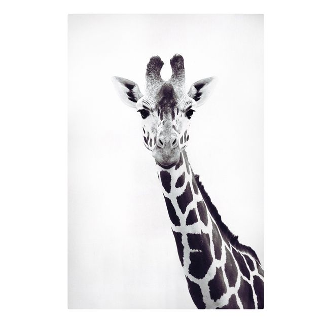 schöne Leinwandbilder Giraffen Portrait in Schwarz-weiß