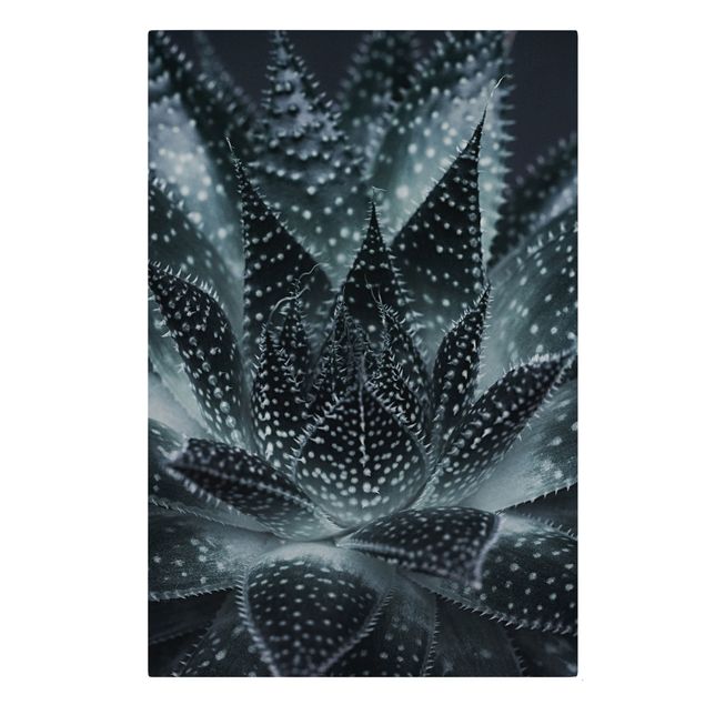 Leinwandbild - Kaktus mit Sternpunkten bei Nacht - Hochformat 2:3