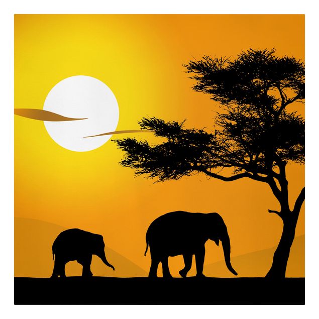 schöne Bilder African Elefant Walk