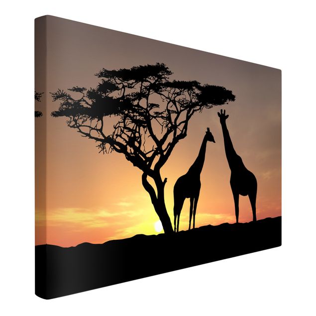 schöne Bilder African Sunset