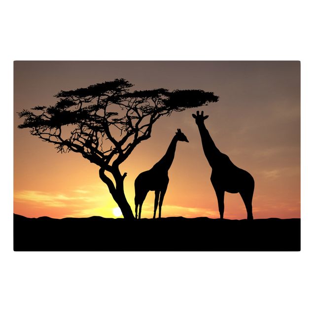 schöne Leinwandbilder African Sunset