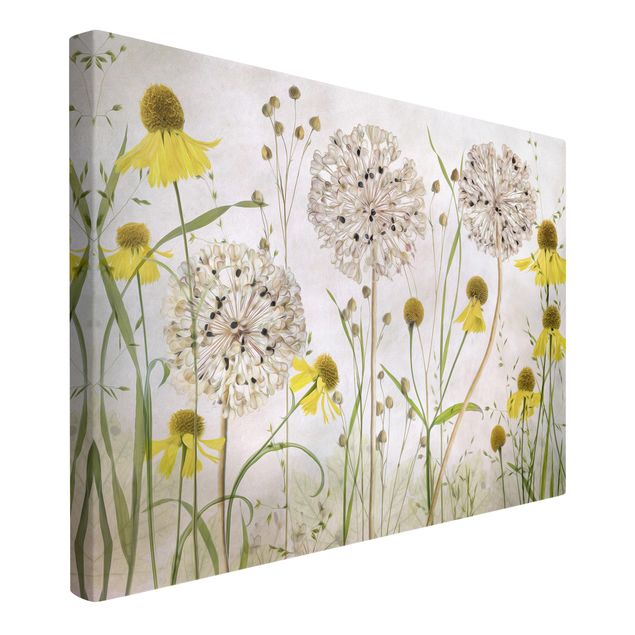 Leinwandbilder Blumen Allium und Helenium Illustration