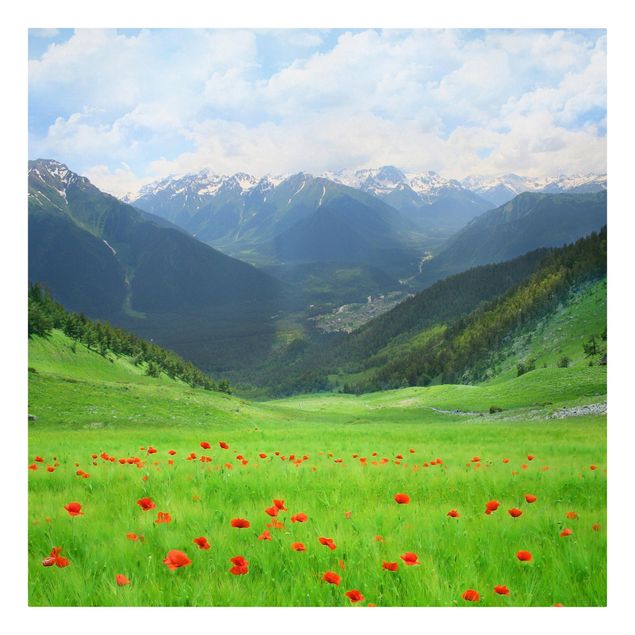 Leinwandbilder Alpenwiese