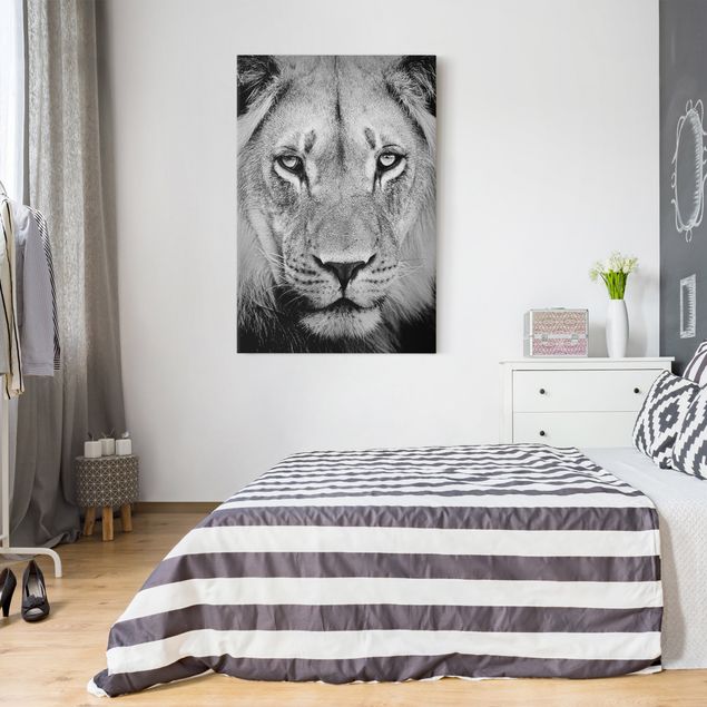 schwarz-weiß Bilder auf Leinwand Alter Löwe