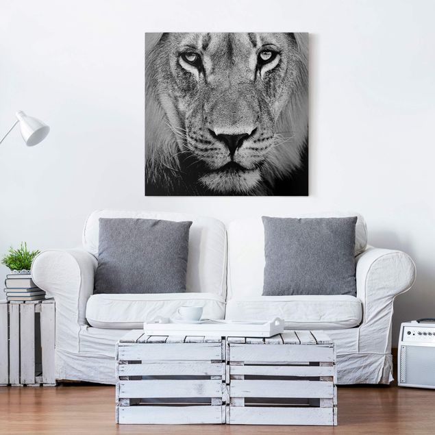 Leinwandbilder schwarz-weiß Alter Löwe