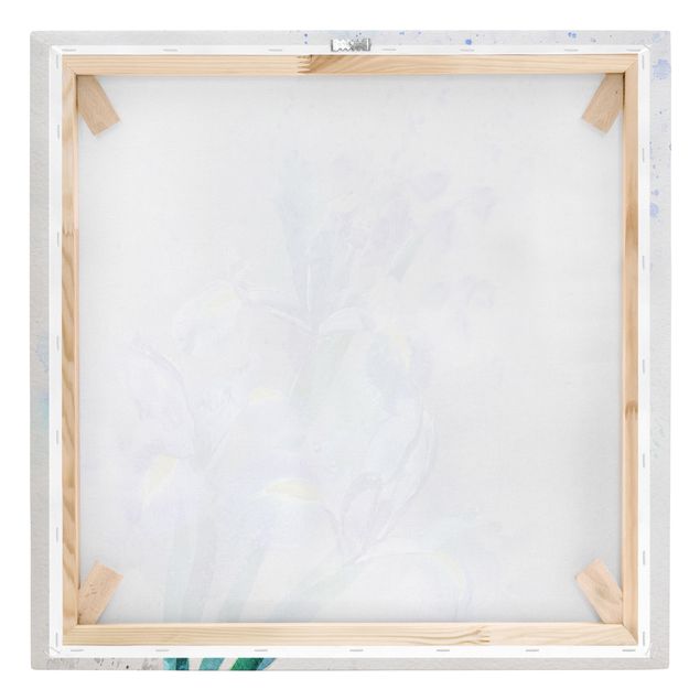 Leinwandbild - Aquarell Blumen Iris - Quadrat 1:1