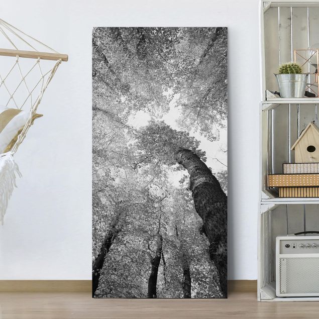 schwarz-weiß Bilder auf Leinwand Bäume des Lebens II