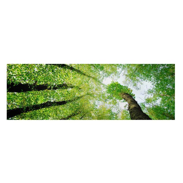 Leinwandbild - Bäume des Lebens - Panorama Quer