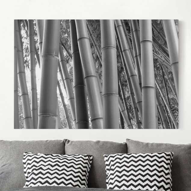 Leinwandbilder schwarz-weiß Bamboo