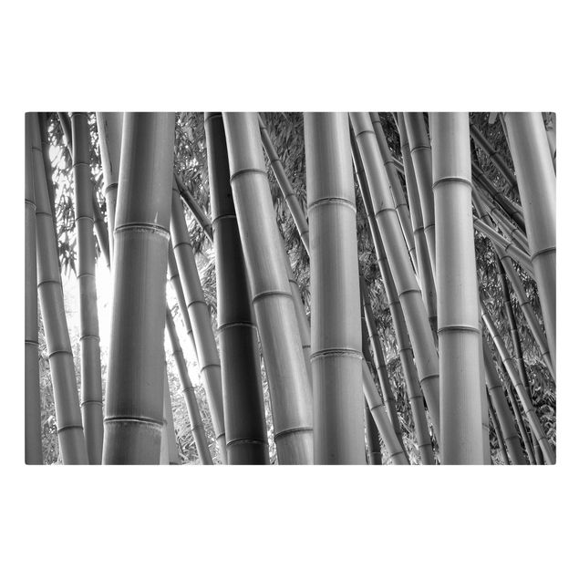 Leinwandbilder Bamboo
