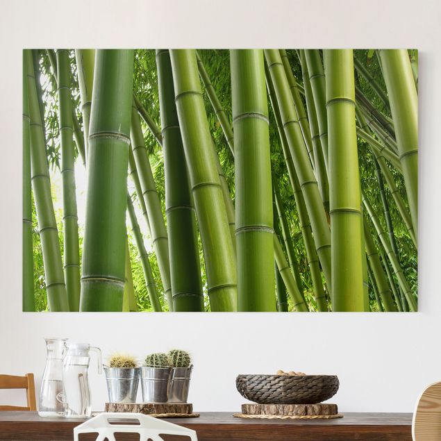 Leinwandbilder Naturmotive Bamboo Trees
