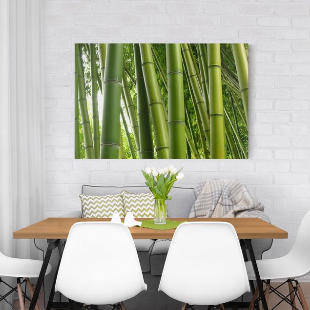 schöne Bilder Bamboo Trees