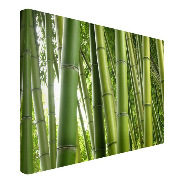 schöne Leinwandbilder Bamboo Trees