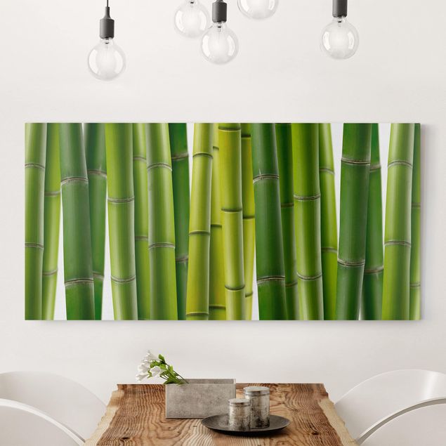 Leinwand Natur Bambuspflanzen