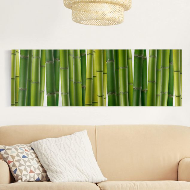 Leinwandbilder Blumen Bambuspflanzen