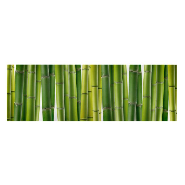 Leinwandbilder Bambuspflanzen