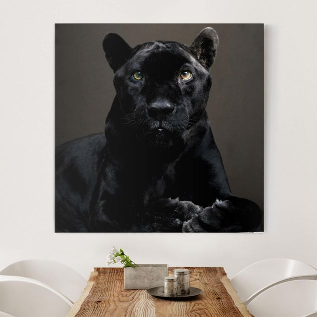 Leinwandbild Katze Black Puma