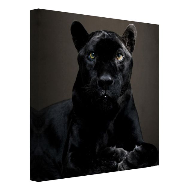 Leinwandbilder kaufen Black Puma