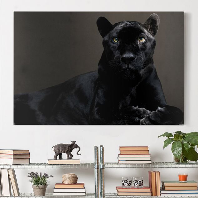 Leinwandbild Hund Black Puma