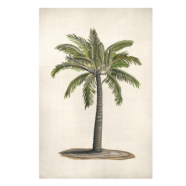 Leinwandbilder kaufen Britische Palmen I