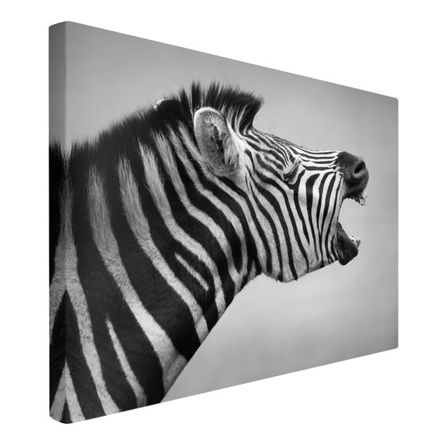 Leinwandbilder kaufen Brüllendes Zebra II