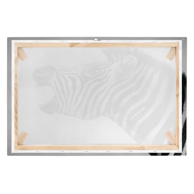 Leinwandbild Schwarz-Weiß - Brüllendes Zebra II - Quer 3:2