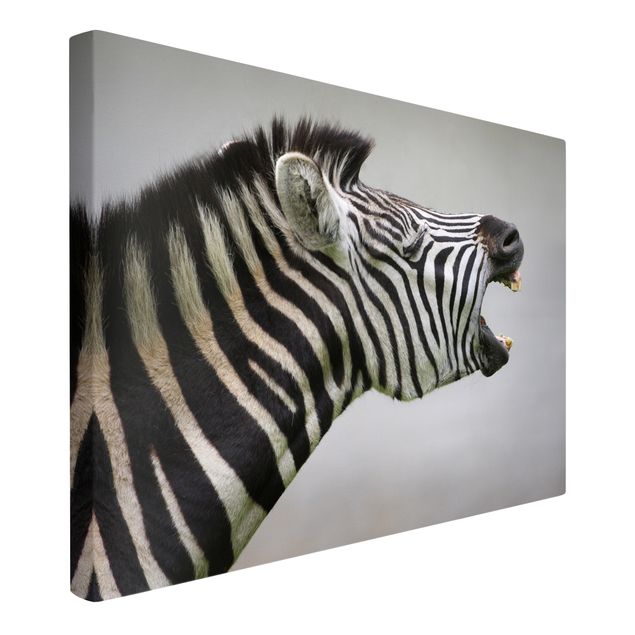 Leinwandbilder kaufen Brüllendes Zebra