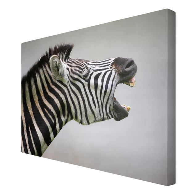 Leinwandbild Schwarz-Weiß - Brüllendes Zebra - Quer 3:2
